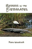 Beggar in the Everglades