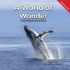 A World of Wonder: A Child's Interactive Book of Wonder