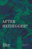 After Heidegger? (New Heidegger Research)