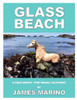 Glass Beach: A Field Survey / Fort Bragg, California