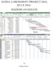 Guida a Microsoft Project 2010, 2013 E 2016: Nozioni Avanzate (Italian Edition)