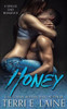 Honey: A Single Dad Romance (Vault)