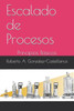 Escalado de Procesos: Principios Básicos (Spanish Edition)