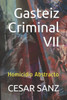 Gasteiz Criminal VII: Homicidio Abstracto (Spanish Edition)