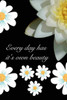 Every Day Has it's Own Beauty