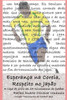 Esperança na Coreia, Respeito no Japão: A Copa de 2002 em 64 microcontos de futebol (Portuguese Edition)