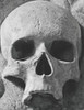 Gothic Skull Sheet Music Paper: For Musicians and Composers