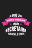 Je Suis Une Super-héroïne Mais Secrétaire Dans Le Civil: Cadeau Humour Secrétaire (French Edition)