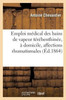 Emploi médical des bains de vapeur térébenthinée, à domicile, affections rhumatismales 1864 (Sciences) (French Edition)