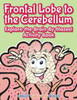 Frontal Lobe to the Cerebellum: Explore the Brain By Mazes! Activity Book