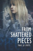 From Shattered Pieces