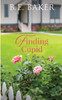 Finding Cupid (The Finding Home)