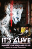 It's Alive: Bringing Your Nightmares to Life (The Dream Weaver Books on Writing Fiction)