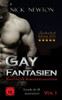 Gay Fantasien Erotische Kurzgeschichten - Erotik ab 18 unzensiert: Taschenbuch Edition 2019 (German Edition)