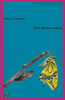 Della Reincarnazione (Principi Cristiani) (Italian Edition)