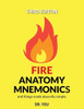Fire Anatomy Mnemonics (and things made absurdly simple)