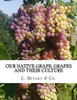 Our Native Grape: Grapes And Their Culture : A List Of Old And New Grape Varieties