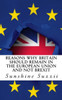 Reasons Why Britain Should Remain In The European Union And Not Brexit : A Comprehensive Guide