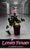 Lonely Flower : A Collection Of Poetry