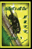 What'S All The Buzz About?