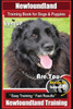 Newfoundland Training Book For Dogs And Puppies By Boneup Dog Training : Are You Ready To Bone Up? Easy Steps * Fast Results Newfoundland Training