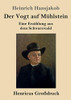 Der Vogt auf Mühlstein (Großdruck): Eine Erzählung aus dem Schwarzwald (German Edition) - Paperback