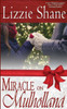Miracle On Mulholland : A Holiday Romance