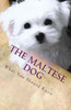The Maltese Dog : What You Should Know