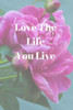 Love The Life You Live