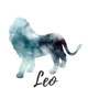 Leo : Leo Cornell Notes Gray