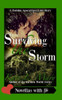 Surviving The Storm : A Zombie Apocalypse Love Story