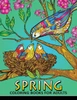 Spring Coloring Books For Adults : Coloring Book Easy, Fun, Beautiful Coloring Pages