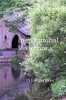 Inspirational Reflections
