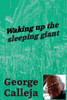 Waking Up The Sleeping Giant