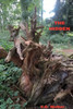 The Hidden : A 'Read And Share' Book