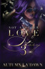 Not Another Love Story 3