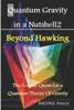 Quantum Gravity In A Nutshell2 : Beyond Hawking-The Cosmic Quest For A Quantum Theory Of Gravity