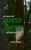 Real Stories From Haunted Forests You Never Heard Before