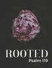 Rooted : Psalm 119