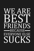 We Are Best Friends Because Everyone Else Sucks : Funny Gift For Your Best Friend