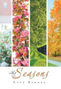 My Seasons
