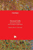 Stromal Cells : Structure, Function, And Therapeutic Implications