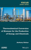 Thermochemical Conversion Of Biomass For The Production Of Energy And Chemicals