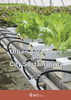 Urban Agriculture And City Sustainability