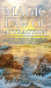 Magic And The Law Of Attraction : A Witch'S Guide To The Magic Of Intention, Raising Your Frequency, And Building Your Reality