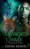 Salvaged Souls
