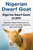 Nigerian Dwarf Goat. Nigerian Dwarf Goats As Pets. Nigerian Dwarf Goat Book For Pros And Cons, Housing, Keeping, Diet And Health