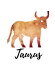 Taurus : Taurus Cornell Notes