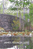 The Road To Bougainville