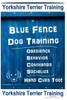 Yorkshire Terrier Training By Blue Fence Dog Training, Obedience - Behavior - Commands - Socialize - Hand Cues Too. Yorkshire Terrier Training